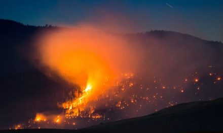 اعلامیه هشدارآمیز دولت با گسترش آتش‌سوزی‌های جنگلی در استان بریتیش کلمبیا